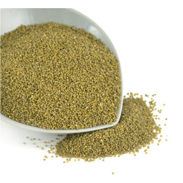 New Corp Hot Sale MP Green Millet In Husk for bird